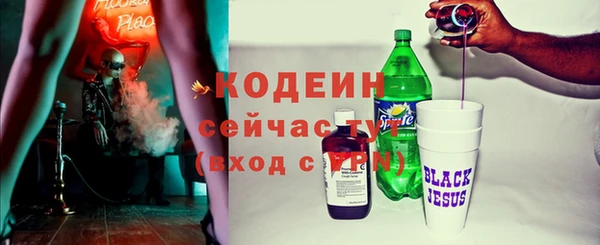 прущие грибы Горнозаводск