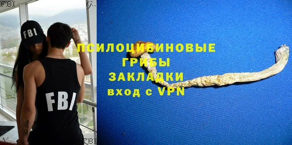 марки nbome Вяземский